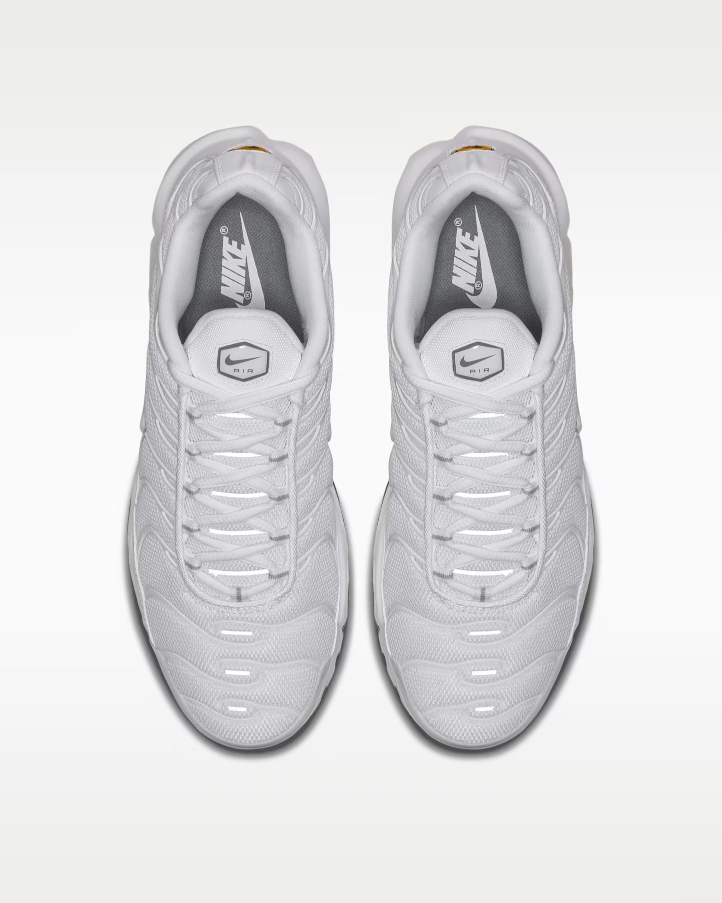 Nik3 Air Max Plus TN (2 Colourways)